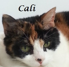 Cali Ward .1998-2015